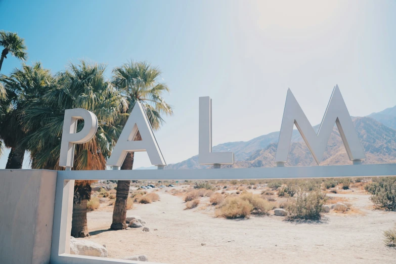 there is a palm tree near the word palmer