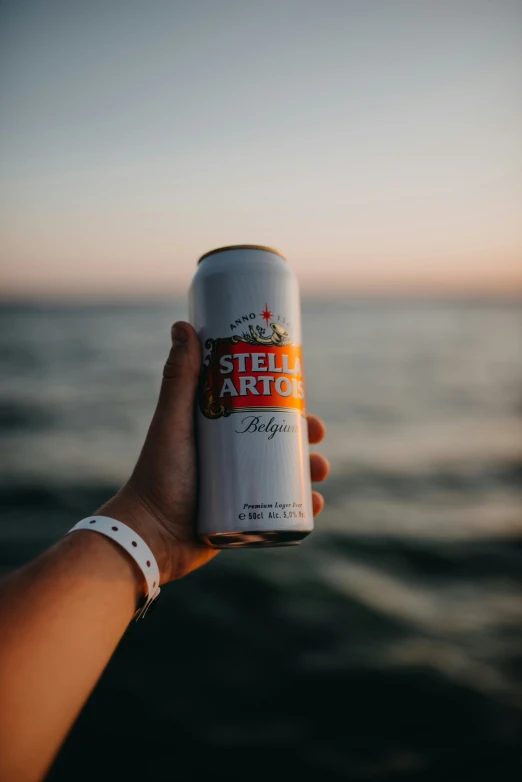 a person is holding onto a can by the ocean