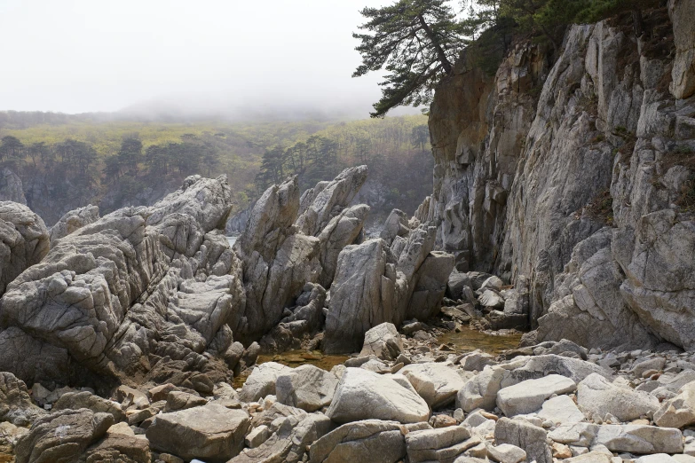 rocky landscape with a few trees on top