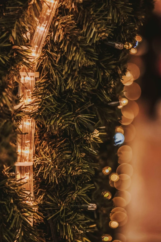 a large christmas tree with lights in it