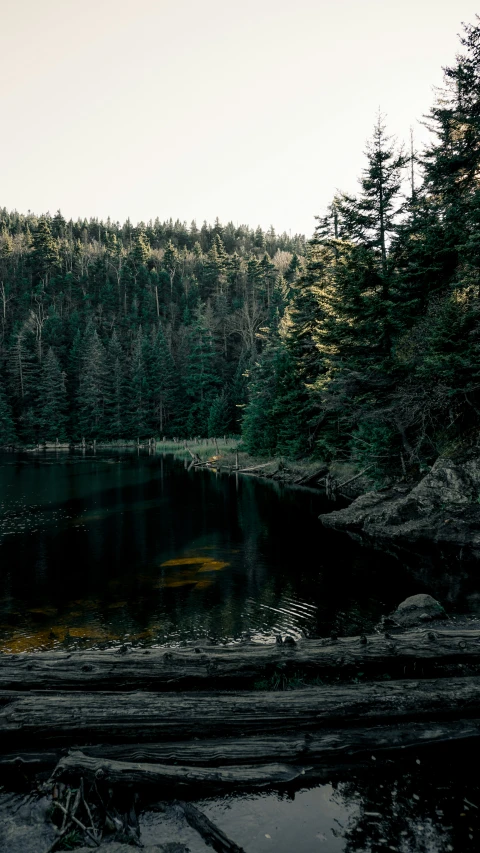 a lone boat floating down a river in the middle of the forest