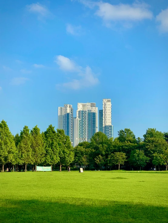 green field with several tall buildings in the distance