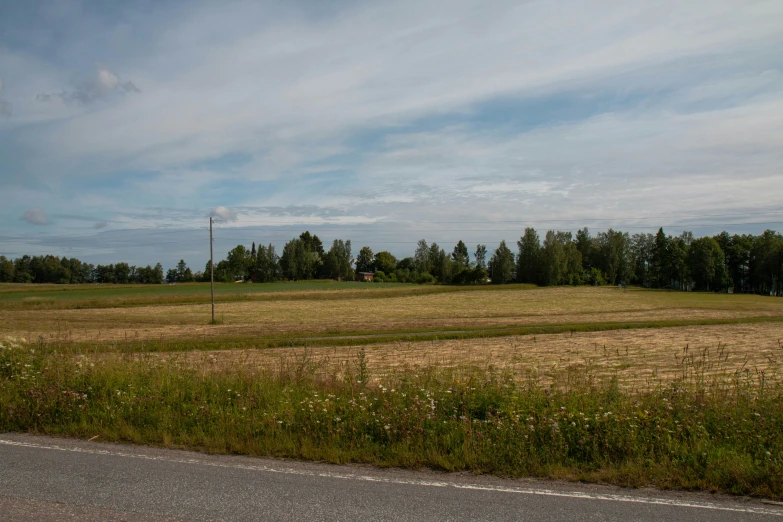 a field with some dirt roads and trees