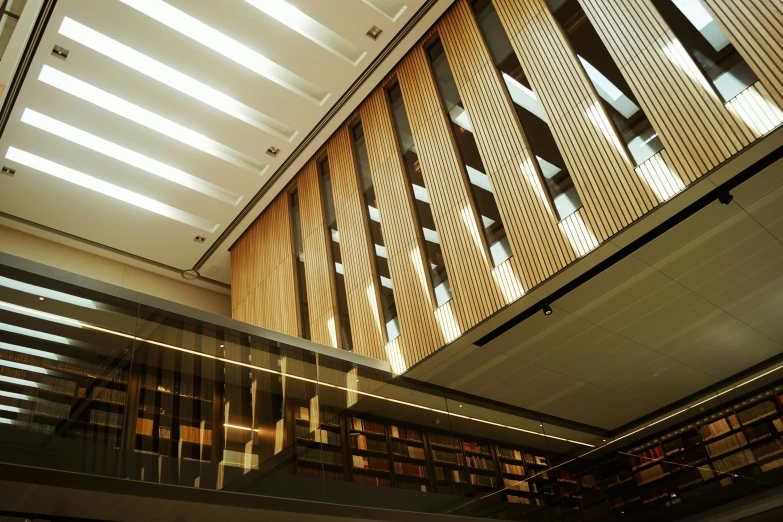 a modern liry with two bookshelves and a skylight