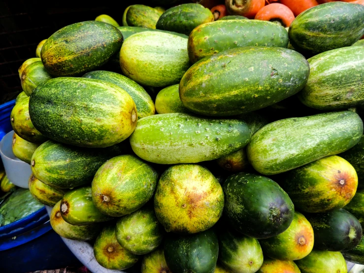 cucumbers, tomatoes and oranges in baskets for sale