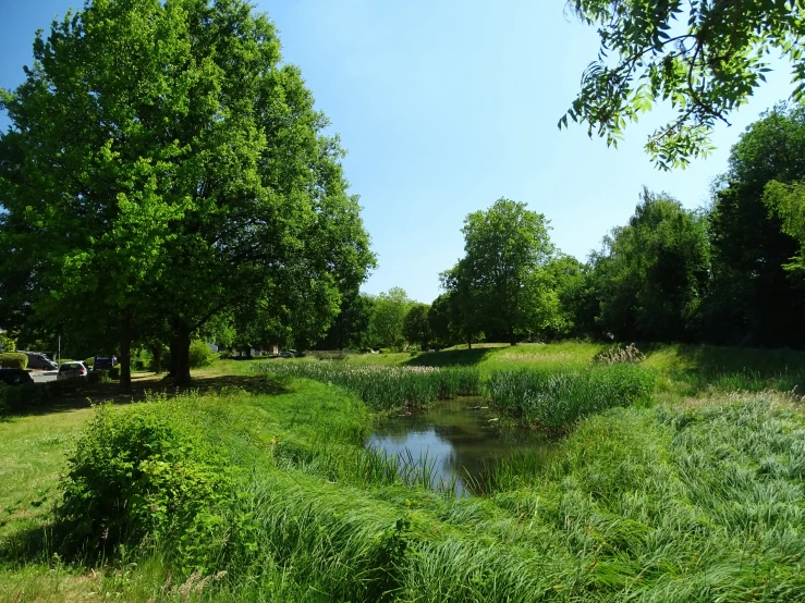 a field with a small stream and trees near by