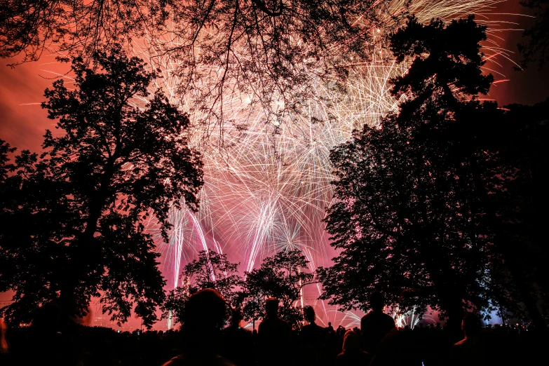 fireworks lit up the night sky and trees