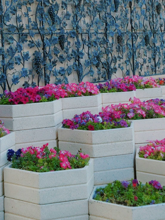 the flower beds are placed together on a cement wall