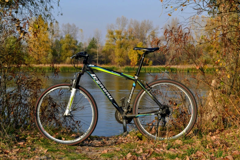 a bike parked next to a lake by some grass