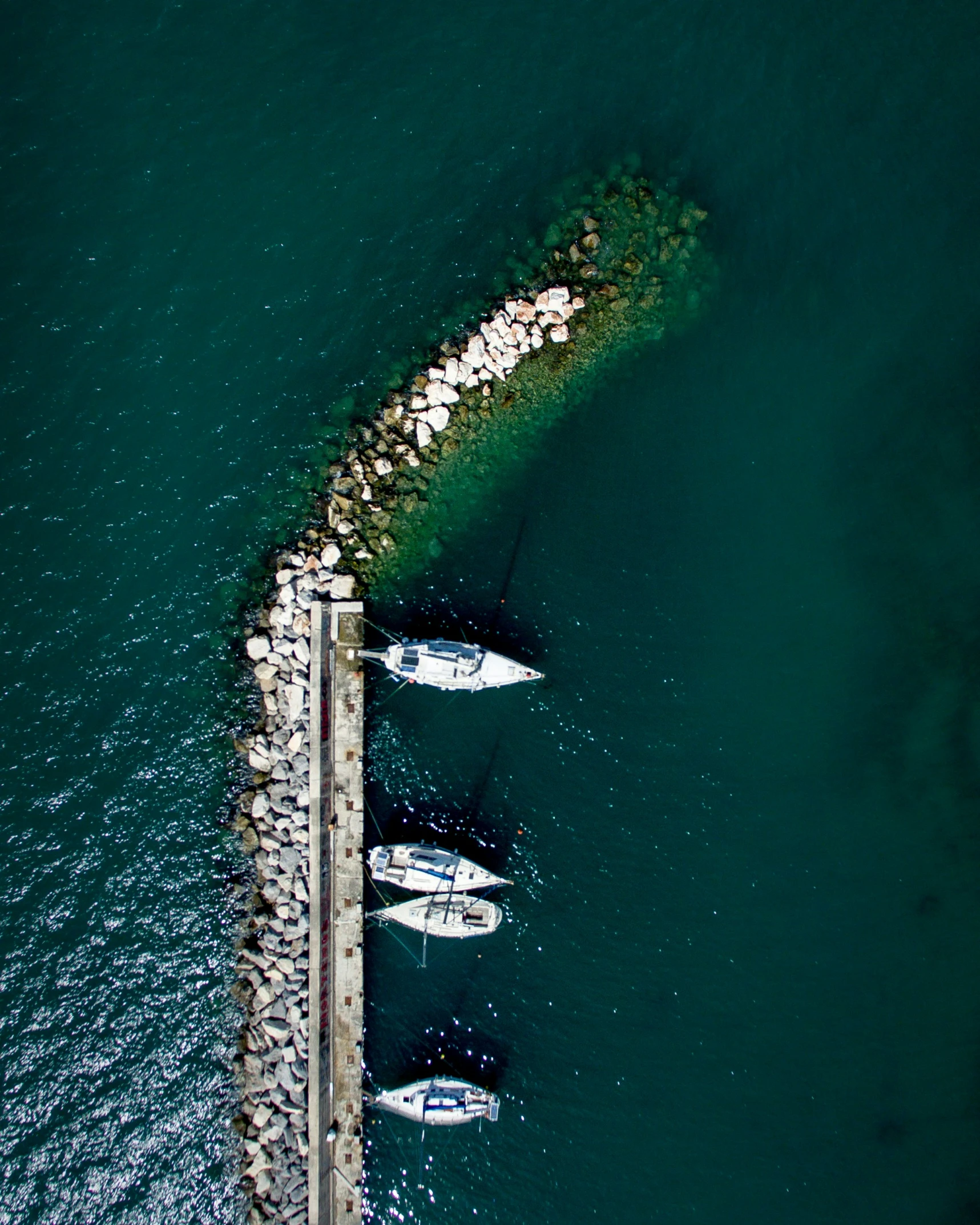 a body of water with many boats docked