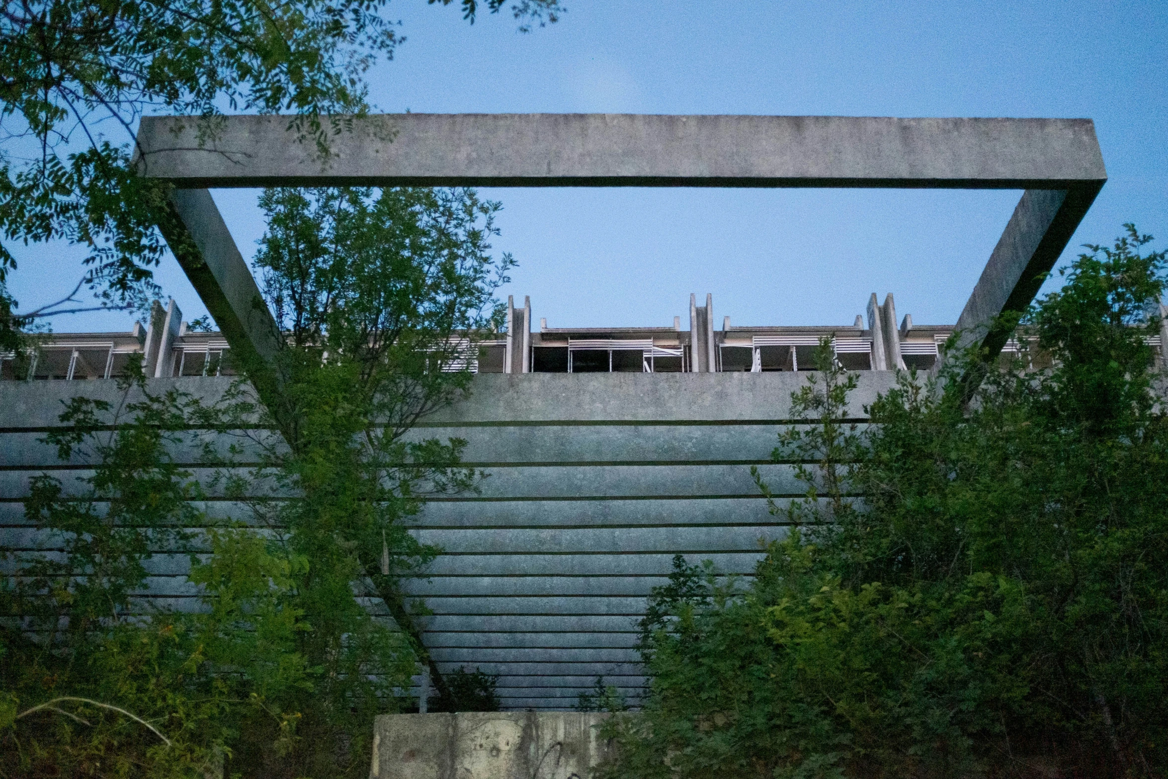 a concrete structure sits surrounded by tall trees and bushes