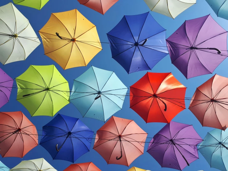 the top of colorful umbrellas against a blue sky