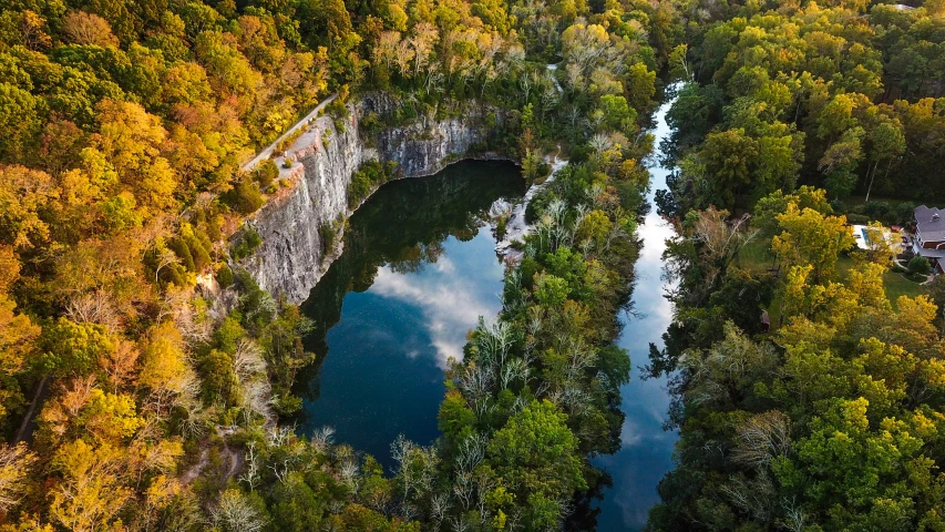 an aerial view of a tree covered area near a bridge