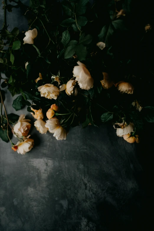 flowers on a table that is dark and ding