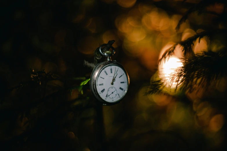 an alarm clock attached to a tree limb in the dark