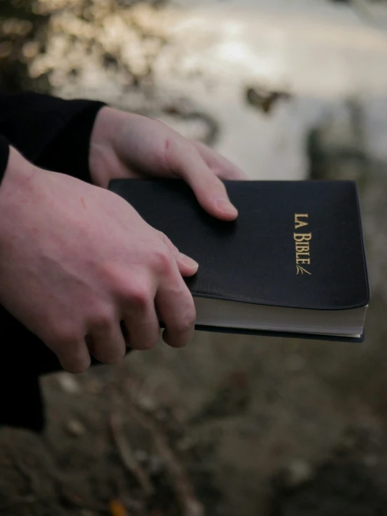 a person holding a black and gold book