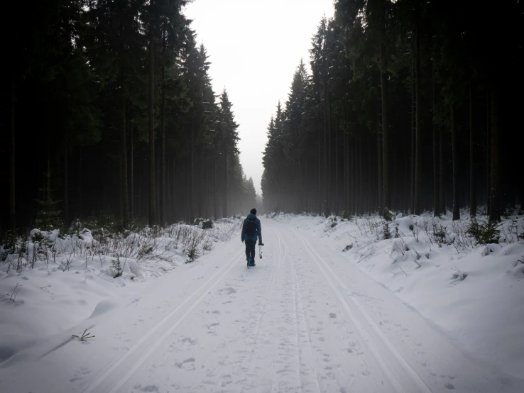 a person walking down a snowy road