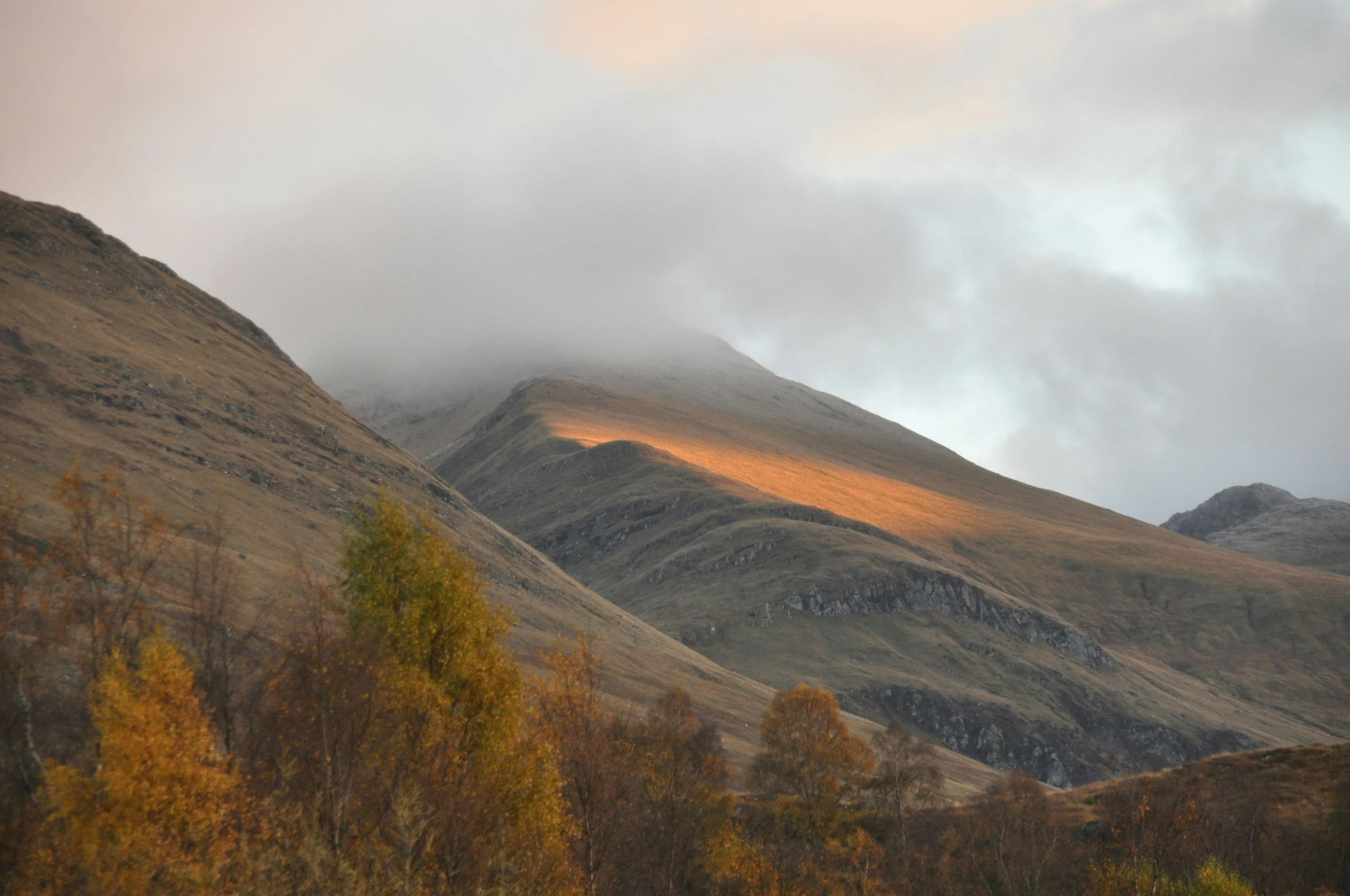 there is a view of some hills covered in trees