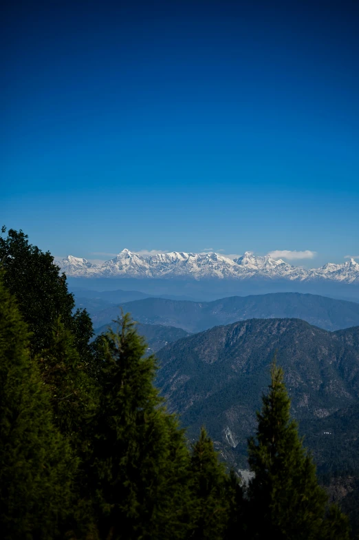 a view of mountains and trees from the top of a mountain