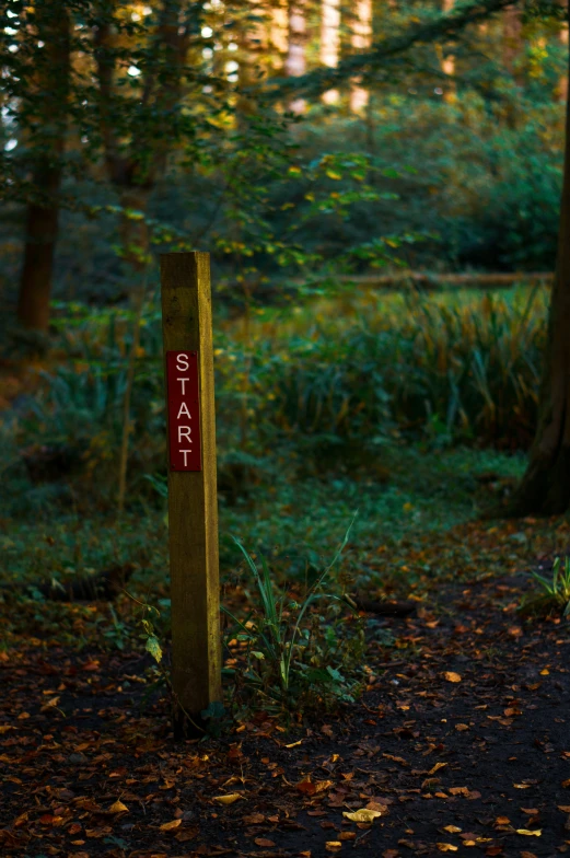 a path in the woods leading to trees with a sign