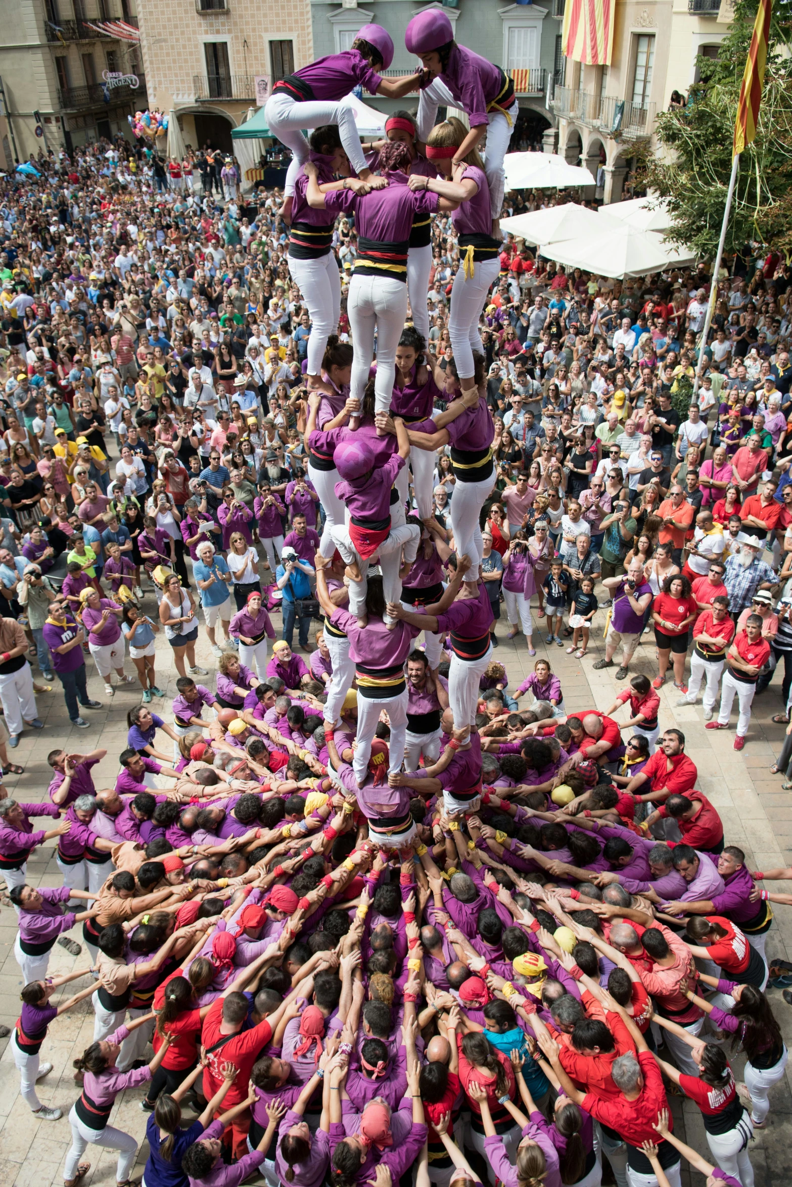 several groups of people with pink and purple outfits, a huge parade ring