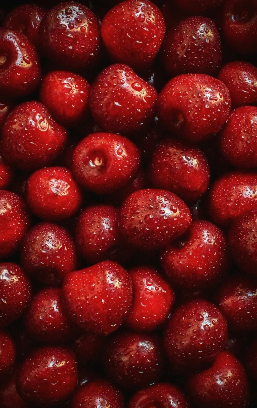 red apples are piled neatly in a pile