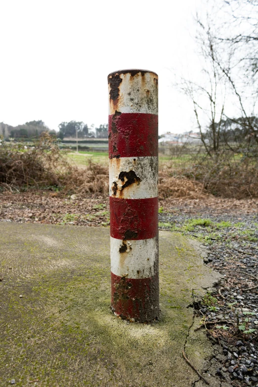 a rusted fire hydrant and a sign pole are on the grass