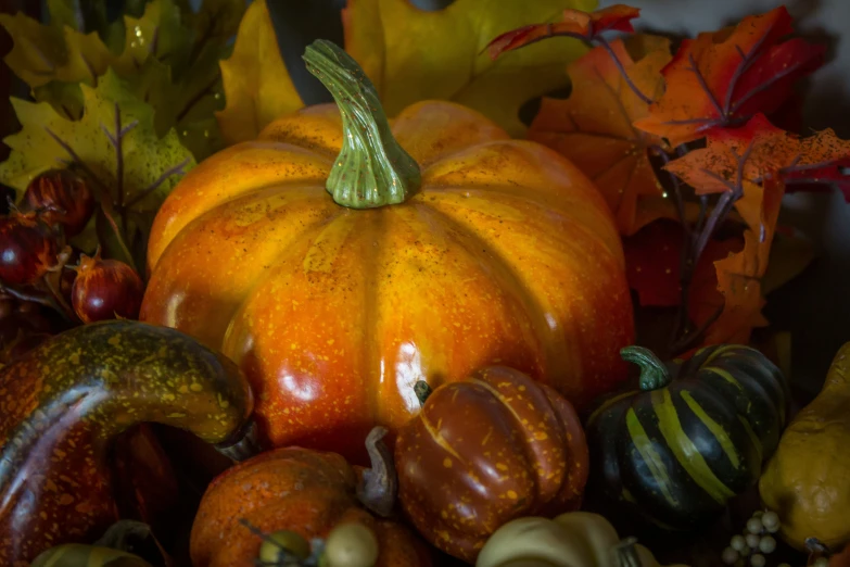 this is a large assortment of squash and autumn leaves