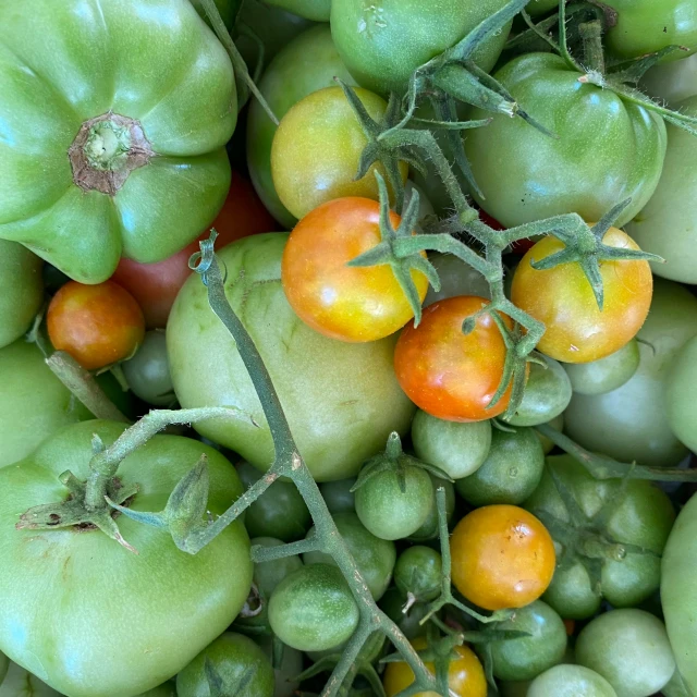 a group of tomatoes and peppers are shown together