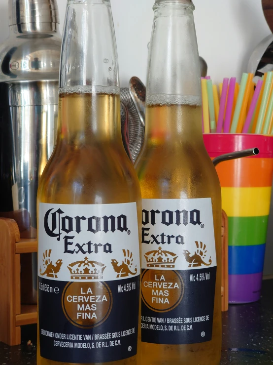 two bottles of corona extra sit on a counter