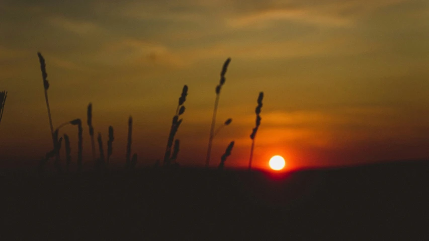 a picture of a sunset taken on a cloudy day