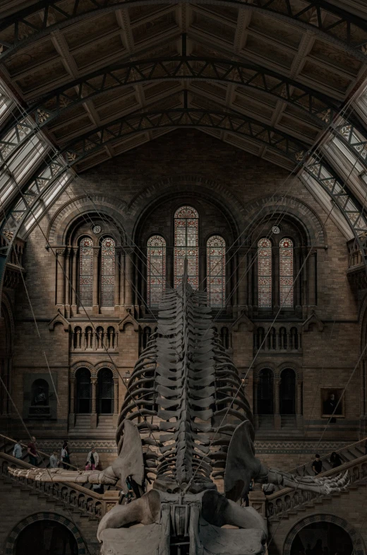 an enormous room that has huge windows and a lot of skeletons in it