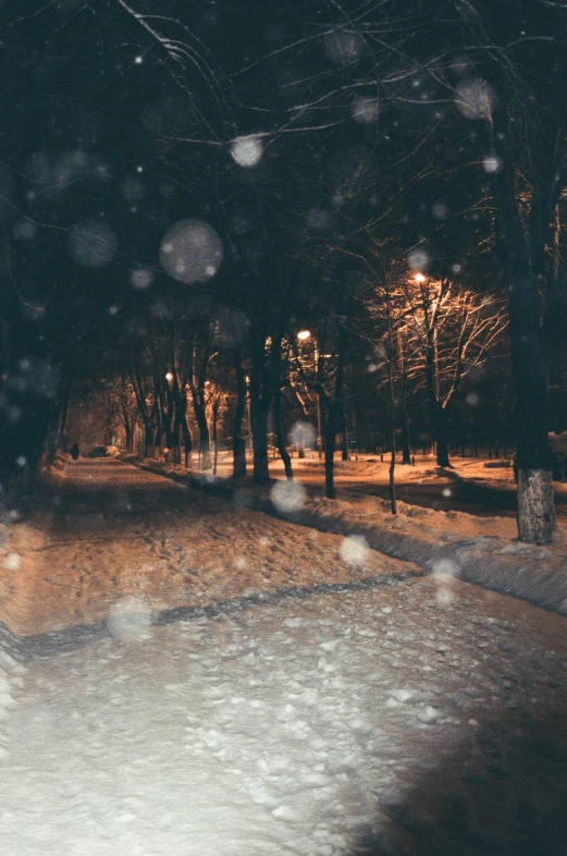 trees and people in winter night time scene