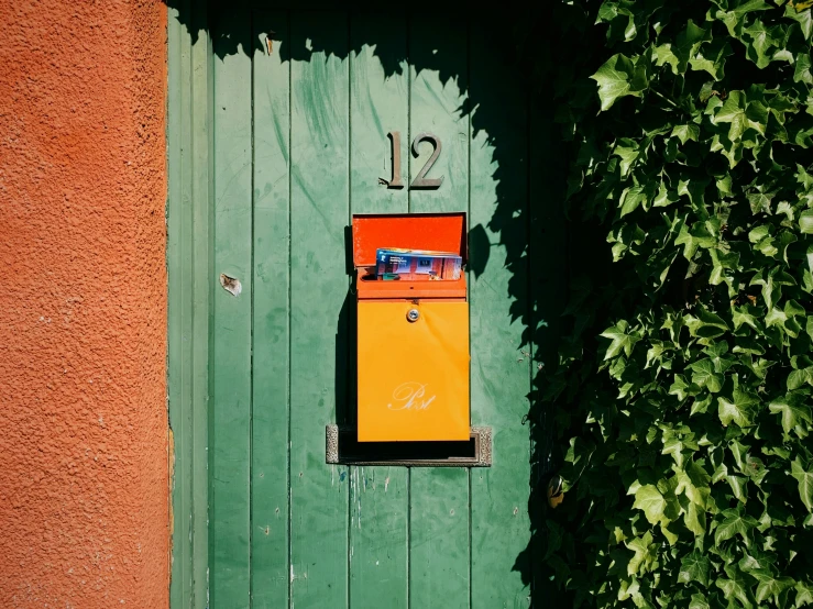 a mailbox attached to a wooden door