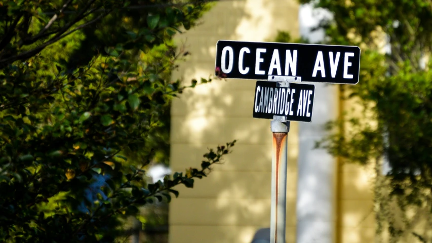 a street sign and some trees outside of a building