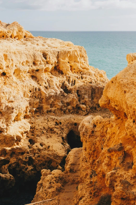 a bird sitting on a cliff near the ocean