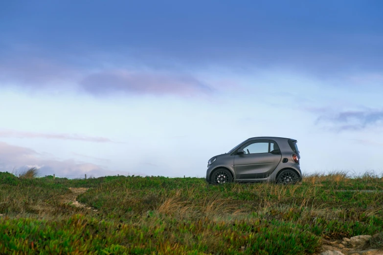 a small gray and black car in grassy field