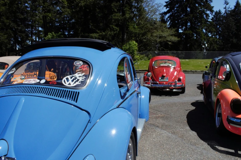 classic vw bug cars lined up in a parking lot