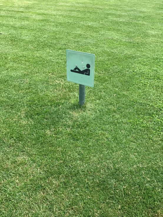 a black cat in the grass sign and a blue dog sign