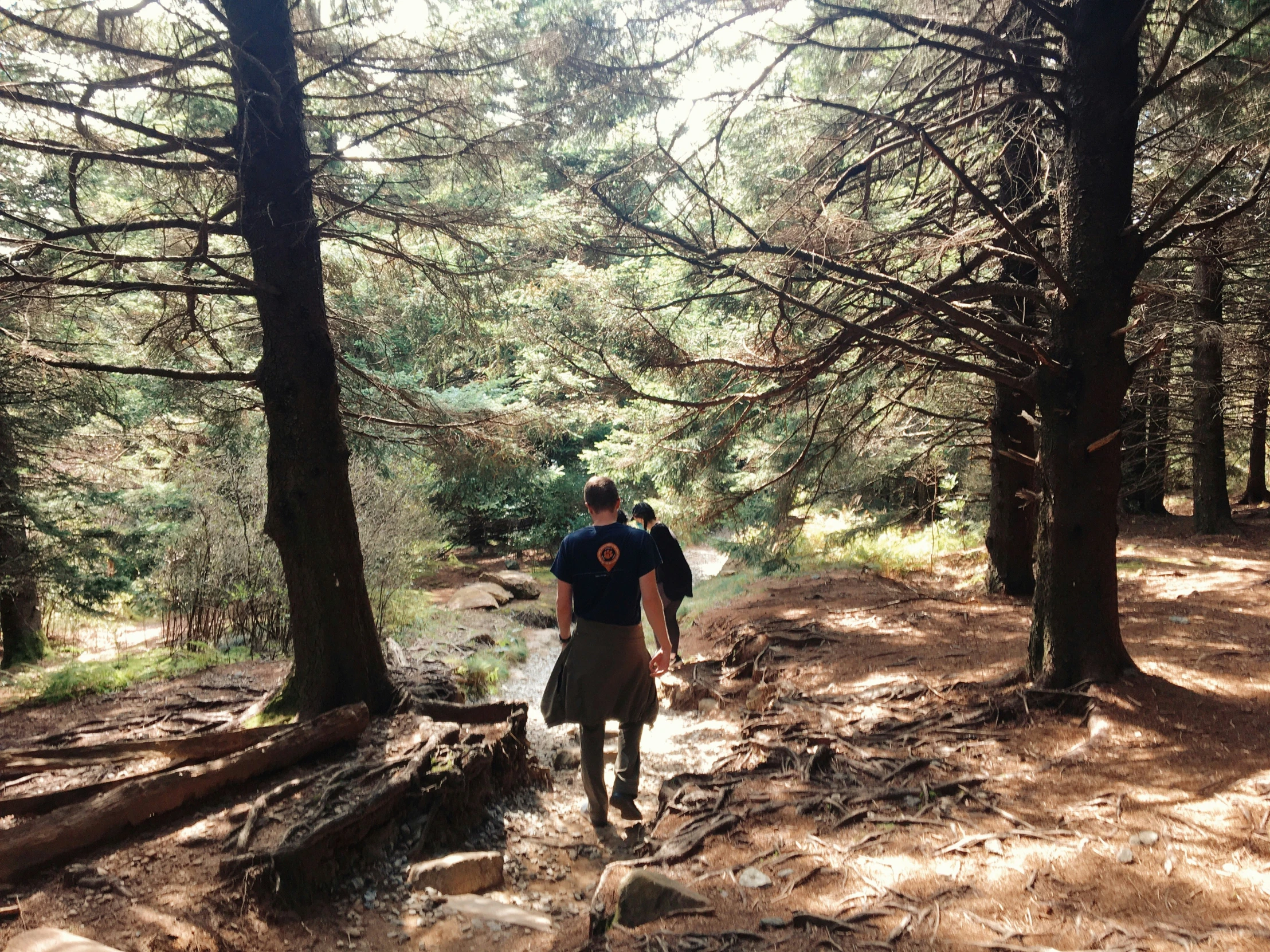 a man in the woods walking with his dog