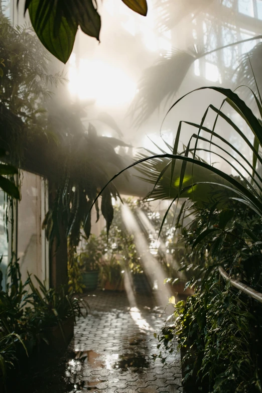 the sun shines through the windows in this tropical setting