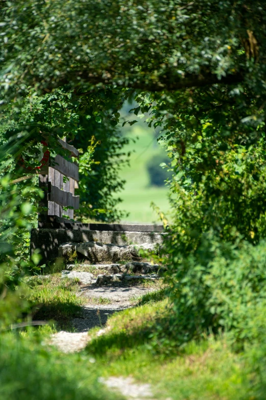 a bench that is sitting in the woods