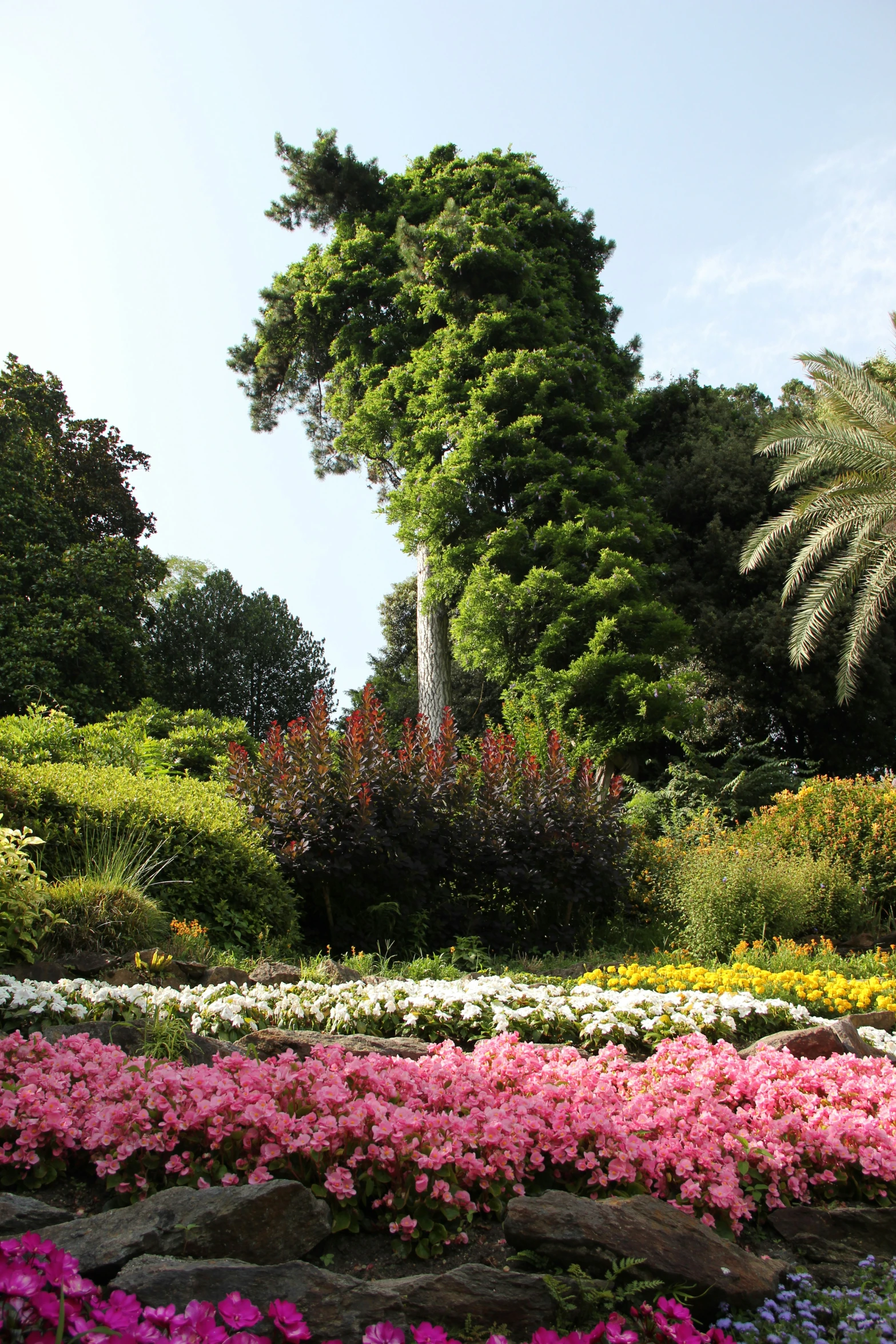 the park has many flower garden and trees
