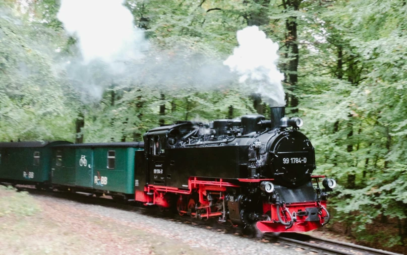 a train on the railroad near many trees