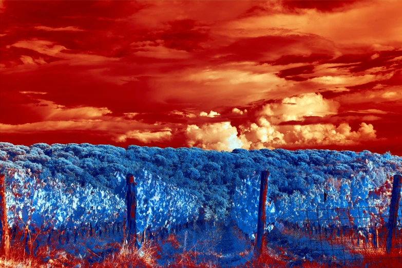 a field and some dirt fence under a cloudy sky