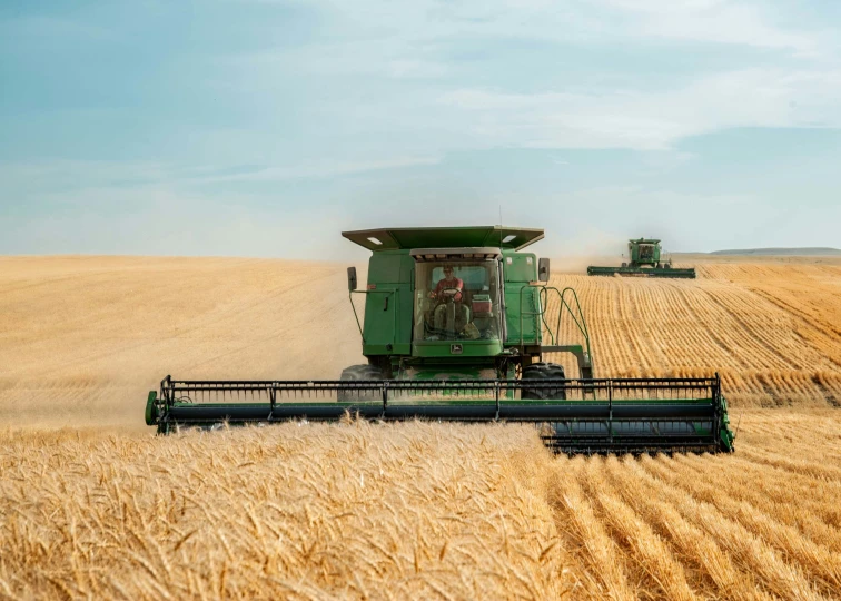 combines moving along the edge of a field to harvest