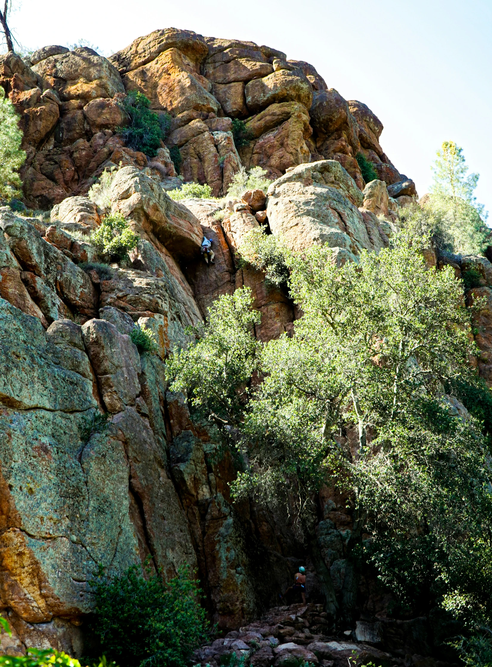 people climbing up rocks out of the jungle