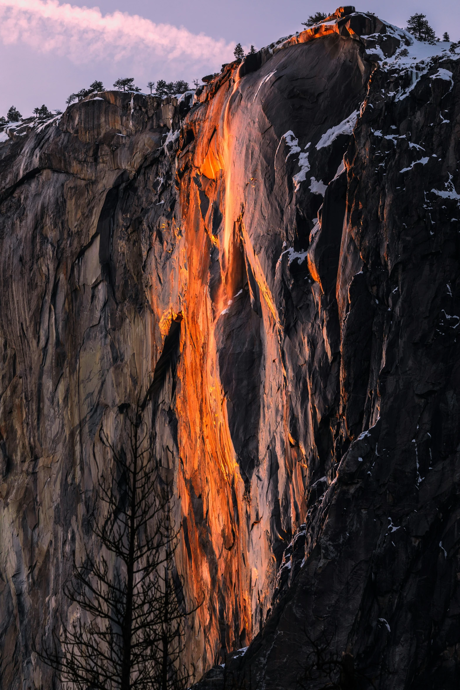 the mountainside and tree line are lit up by a bright orange fire