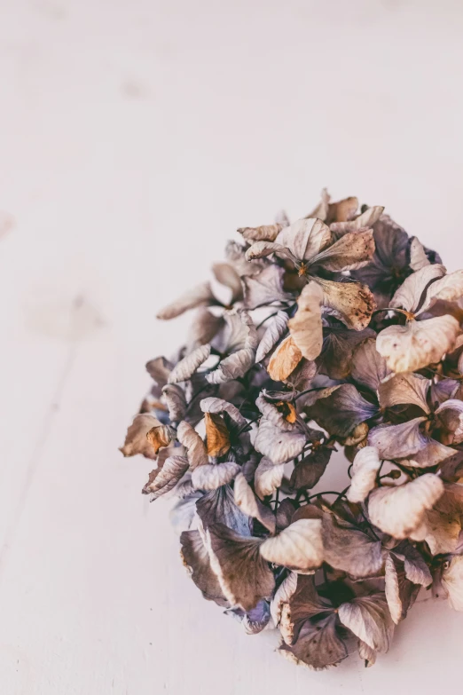 small bunches of dry flowers are on the surface