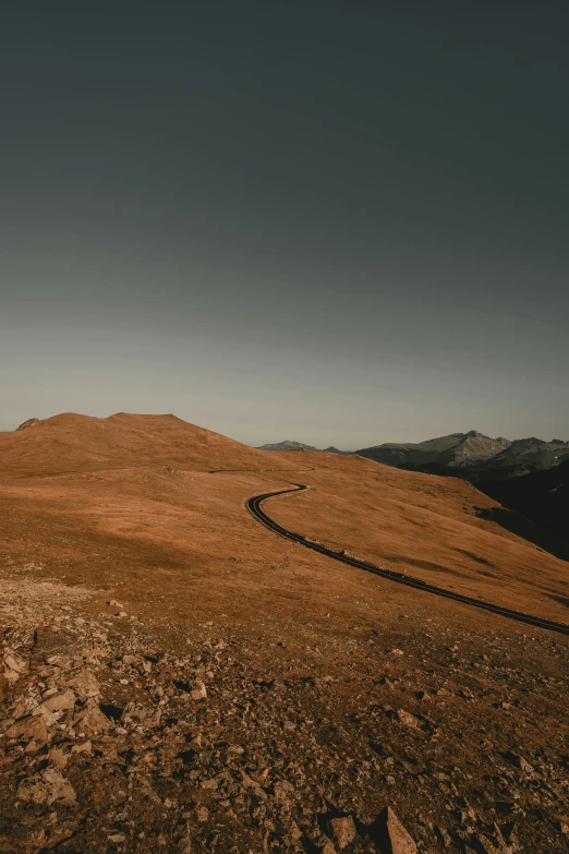 a person walking across a hill next to a dog